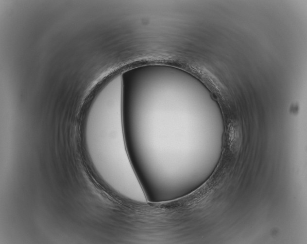 X0000095890684200801110829