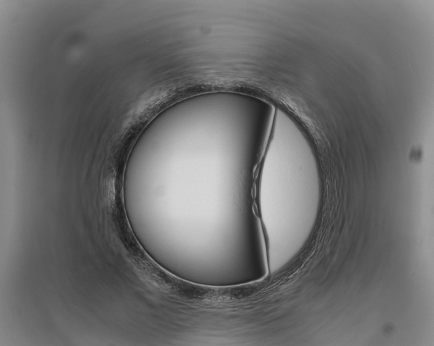 X0000095890685200801110829