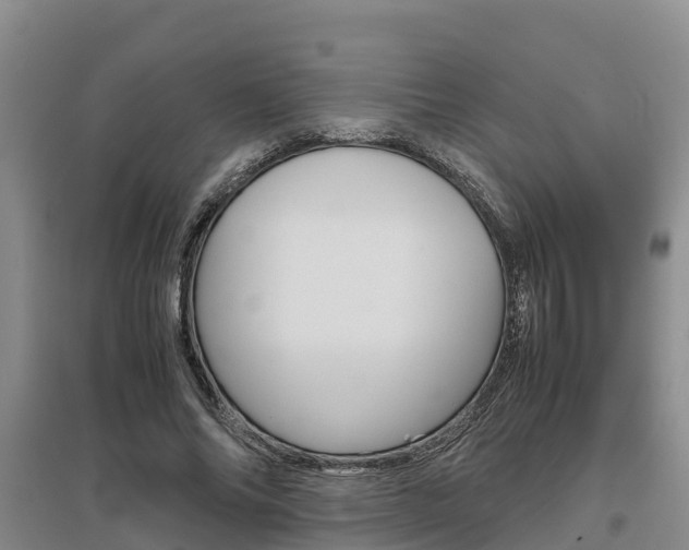 X0000095890686200801110829