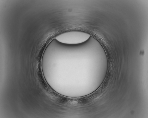 X0000095890687200801110829
