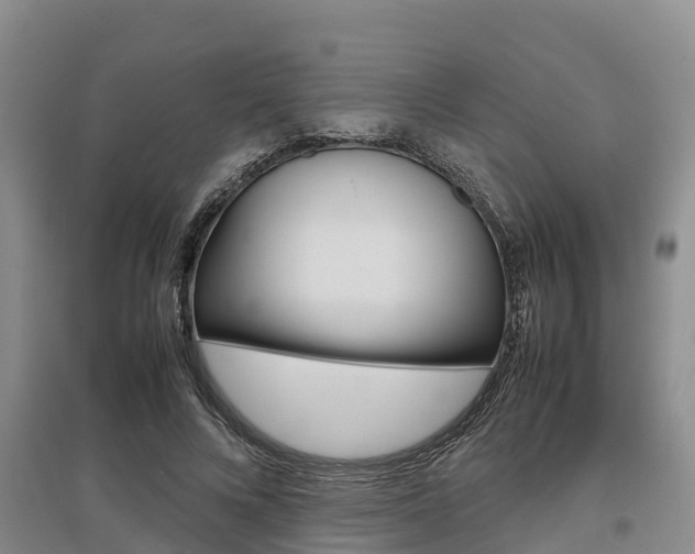 X0000095890688200801110829