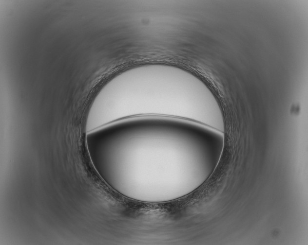 X0000095890689200801110829