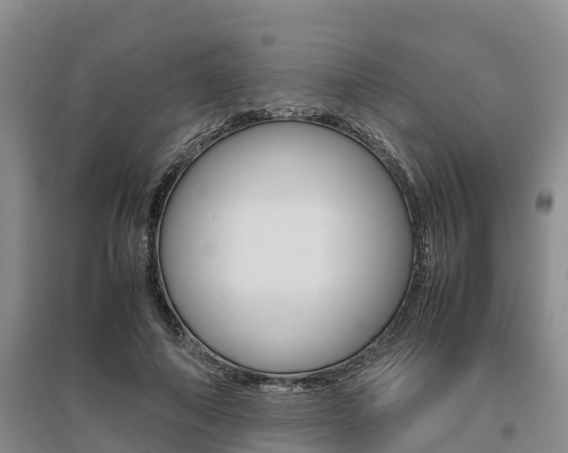 X0000095890690200801110829