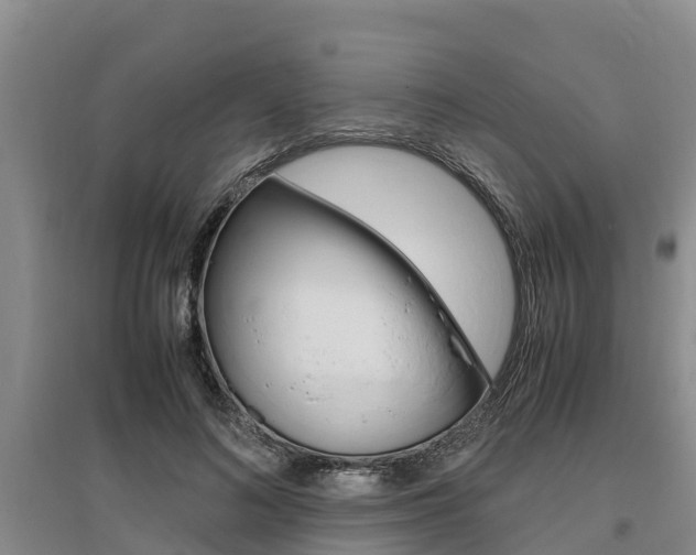 X0000095890692200801110829
