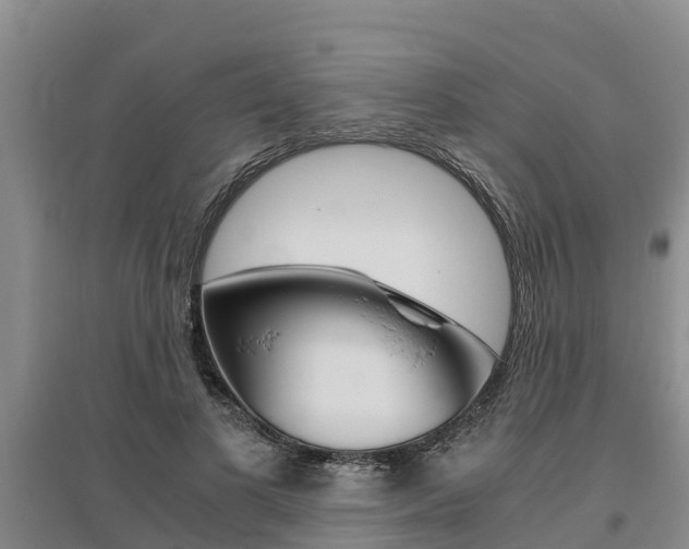 X0000095890693200801110829