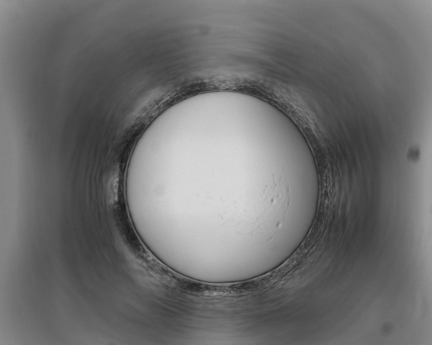 X0000095890694200801110829