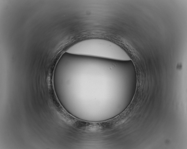 X0000095890696200801110829
