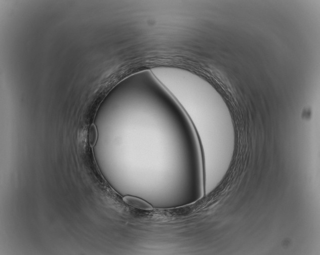 X0000095890697200801110829