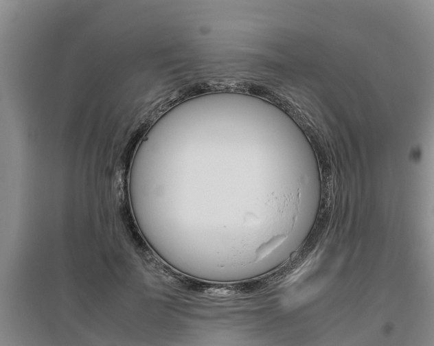 X0000095890699200801110829