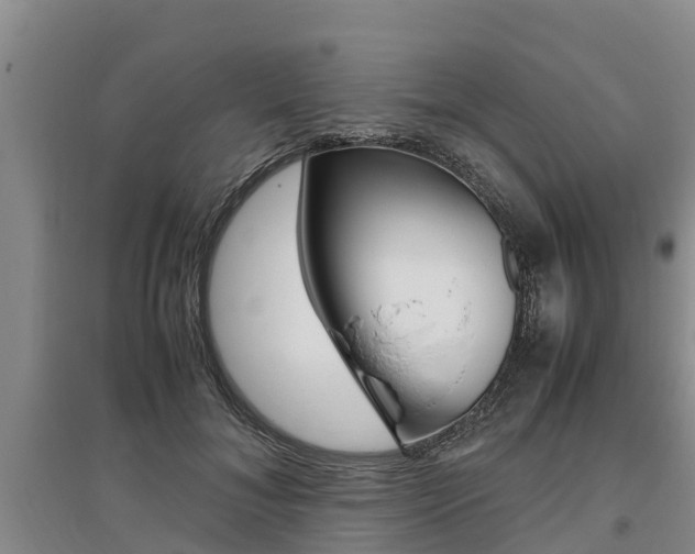 X0000095890700200801110829