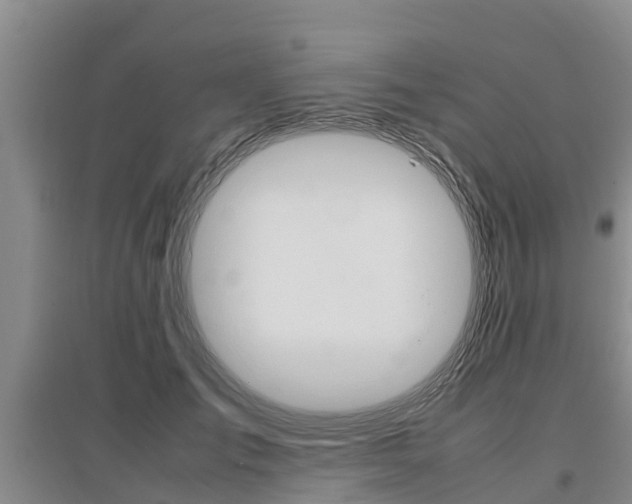 X0000095890701200801110829