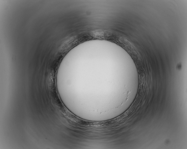 X0000095890702200801110829
