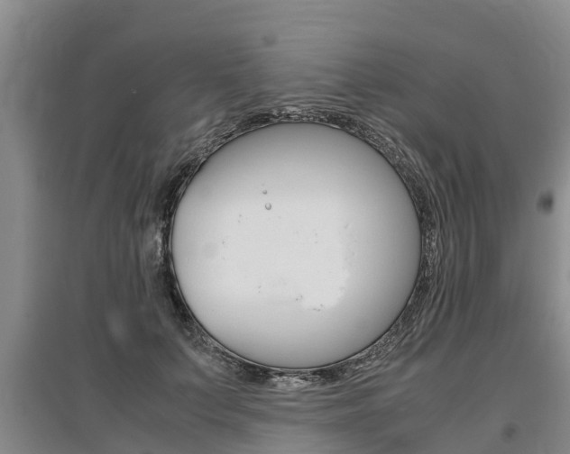 X0000095890703200801110829