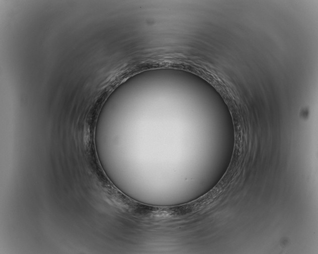 X0000095890704200801110829