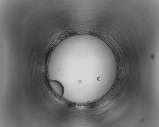 X0000095890706200801110829