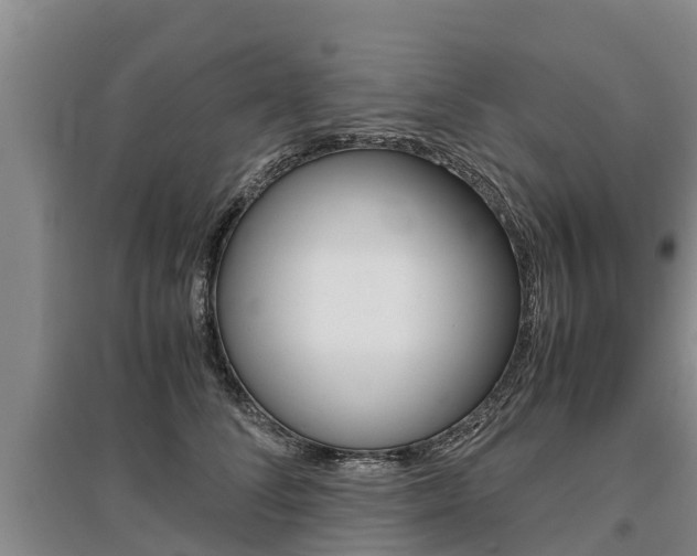 X0000095890708200801110829
