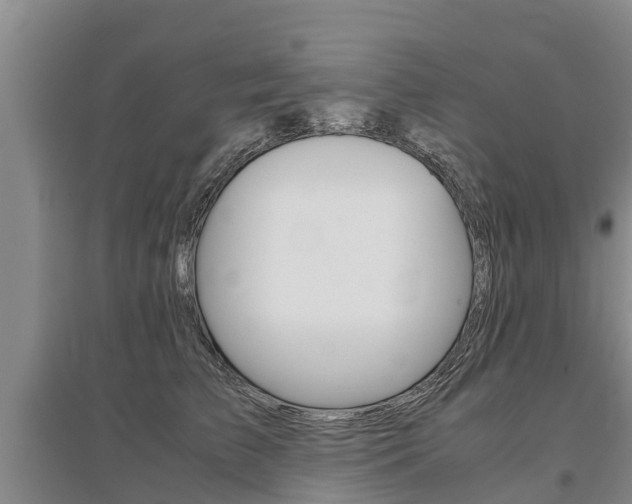 X0000095890709200801110829