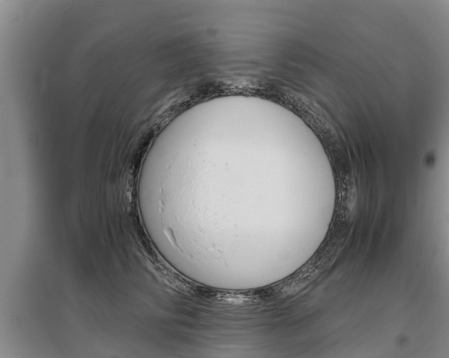 X0000095890710200801110829