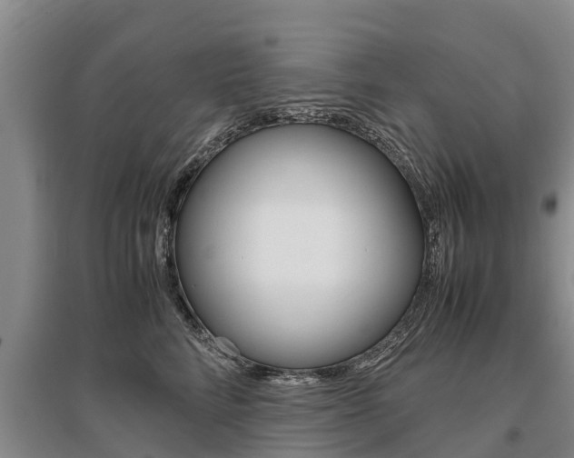 X0000095890712200801110829