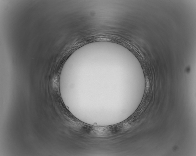 X0000095890713200801110828
