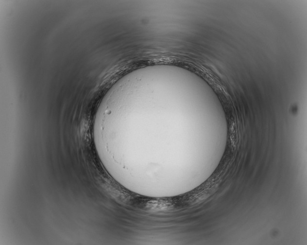 X0000095890714200801110828