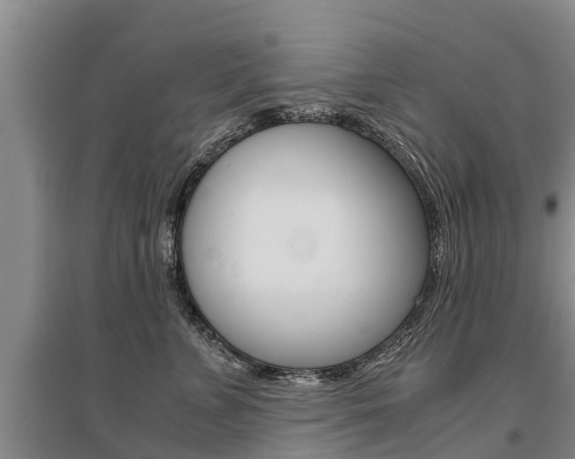 X0000095890715200801110828