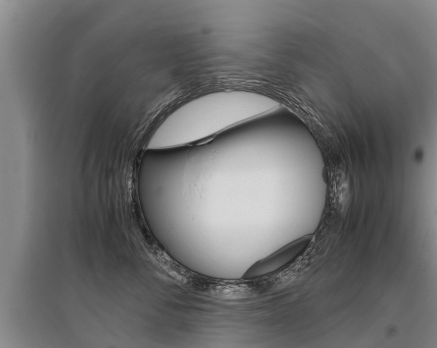X0000095890716200801110828