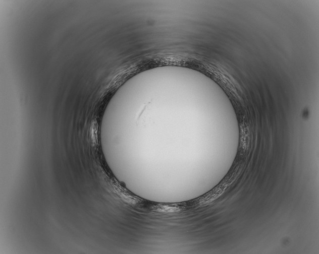 X0000095890718200801110828