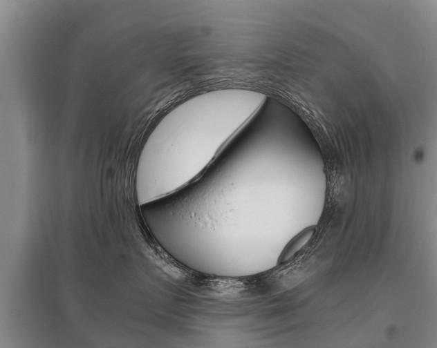 X0000095890719200801110828