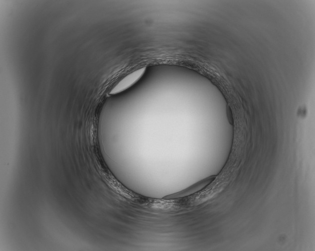 X0000095890720200801110828