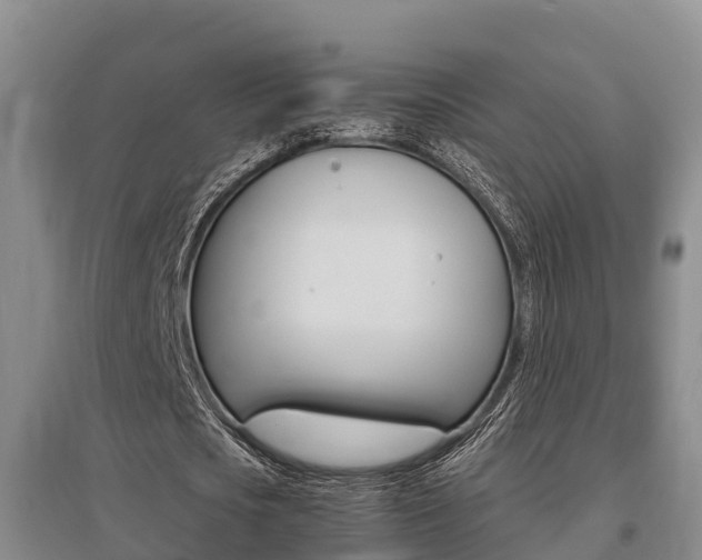 X0000095890721200801110828