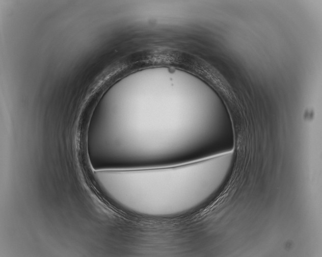 X0000095890722200801110828