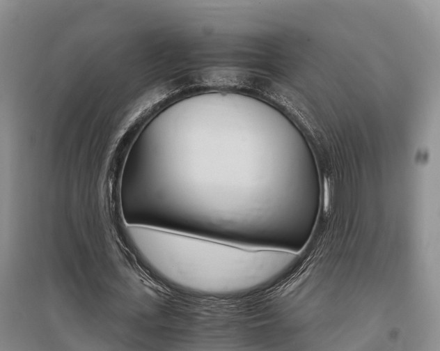 X0000095890723200801110828