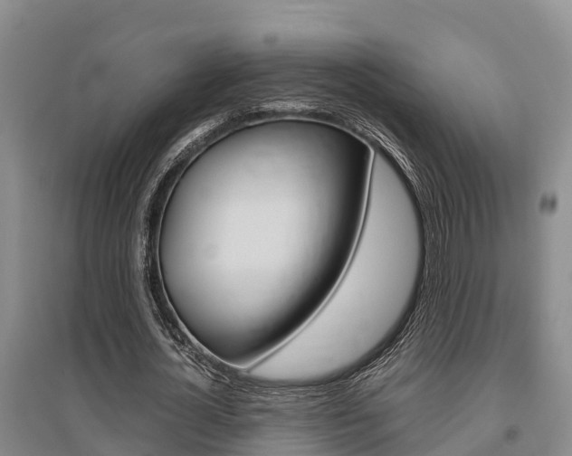X0000095890724200801110828