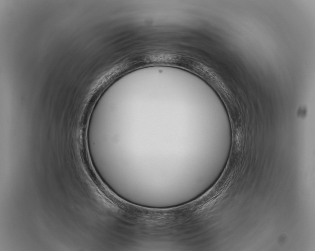 X0000095890725200801110828