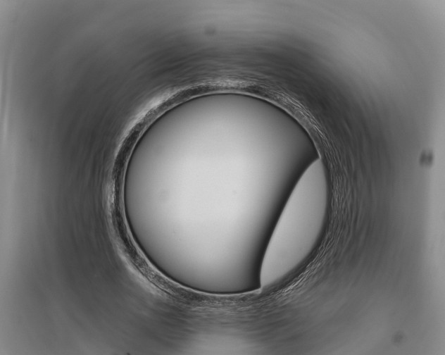 X0000095890726200801110828