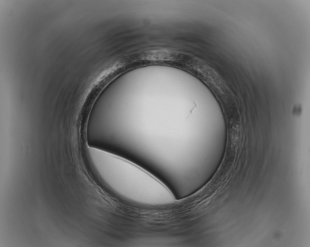 X0000095890727200801110828
