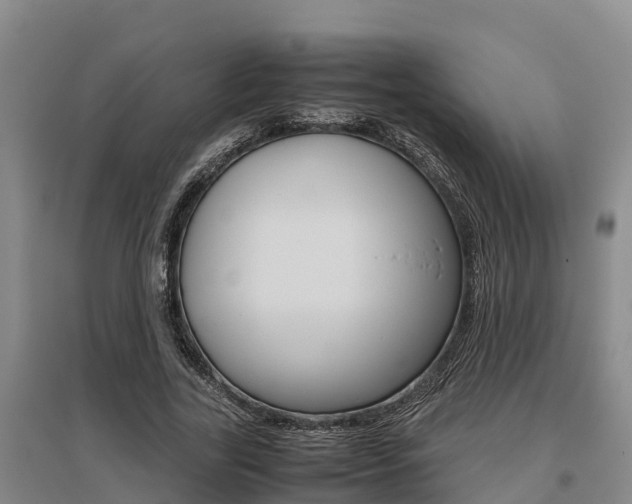 X0000095890731200801110828