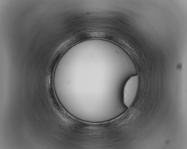 X0000095890733200801110828