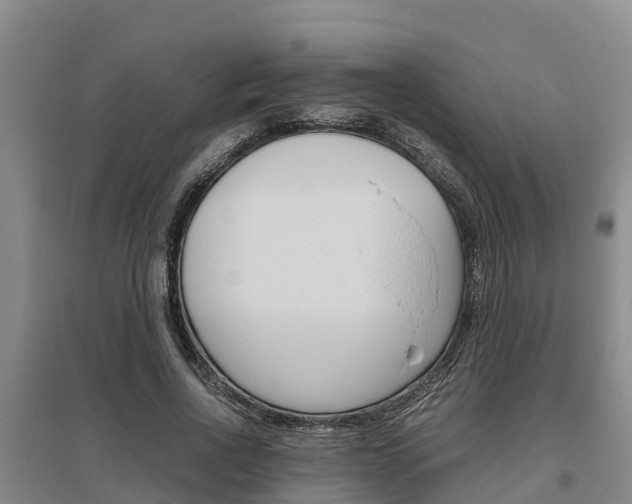 X0000095890734200801110828