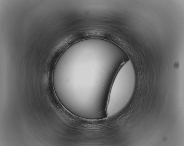 X0000095890735200801110828