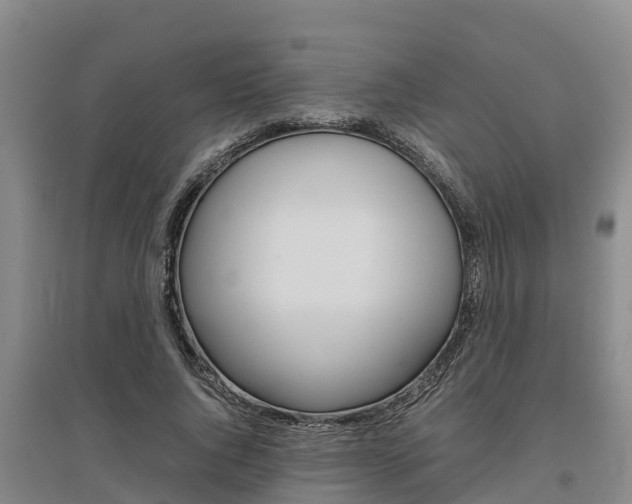 X0000095890736200801110828