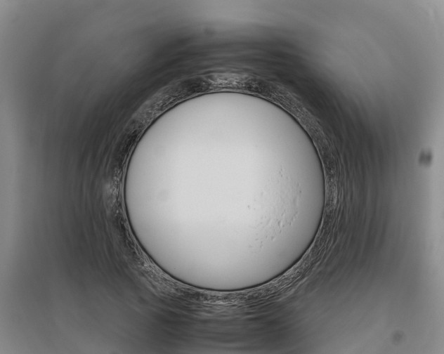 X0000095890737200801110828