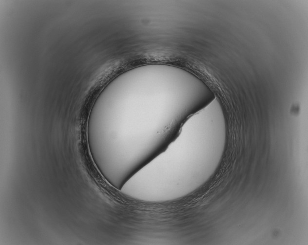 X0000095890738200801110828