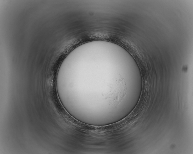 X0000095890739200801110828