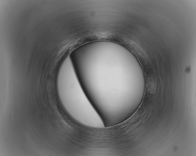 X0000095890740200801110828