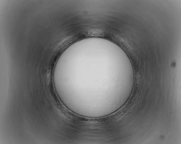 X0000095890741200801110828