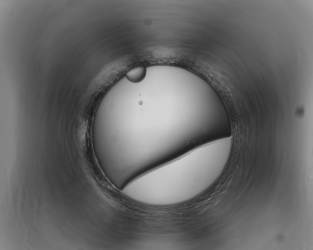 X0000095890742200801110828