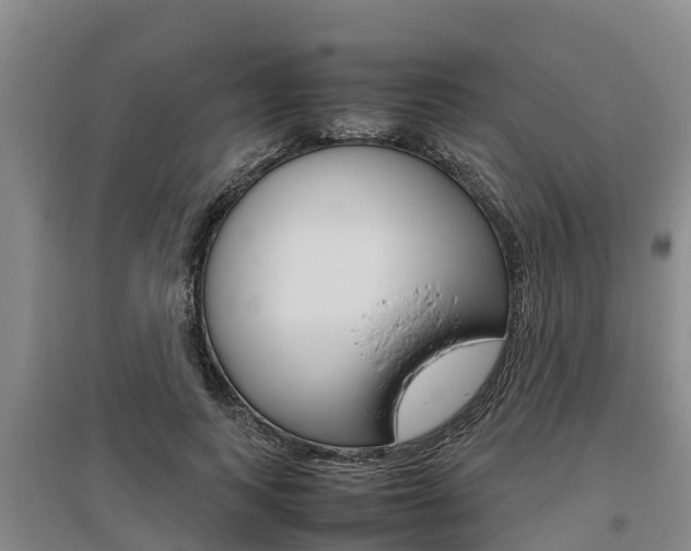 X0000095890743200801110828