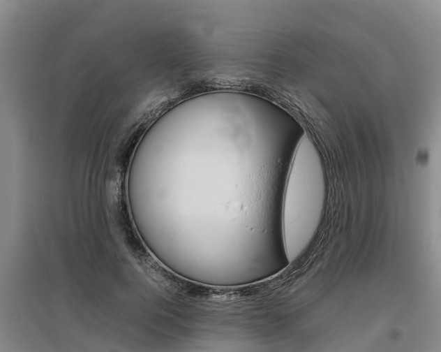 X0000095890744200801110828